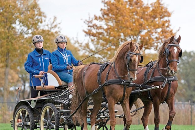 De nieuwe MenSport - 2020 08