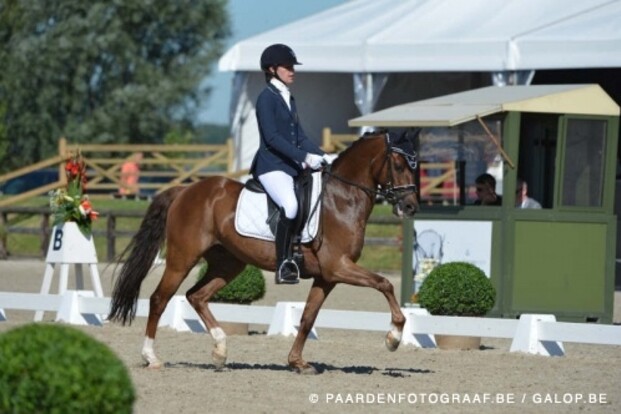 EK dressuur: vijfde plaats voor ponyteam EK dressuur: vijfde plaats voor ponyteam