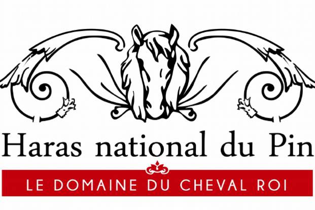 Belgisch Ponyteam promoveert naar podium