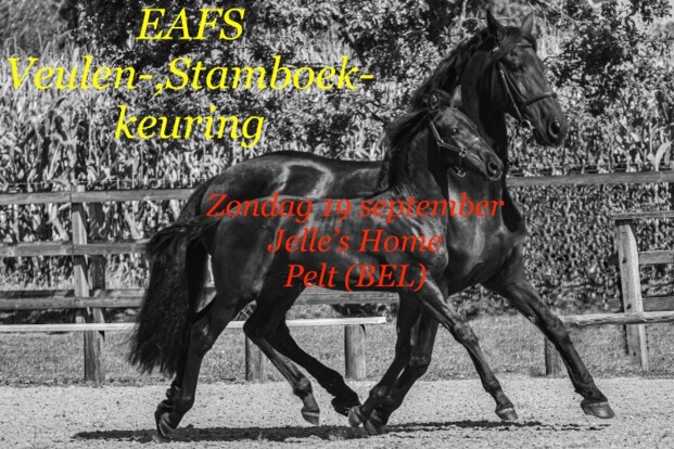Arabo-Friese keuring - Pelt - 19 september