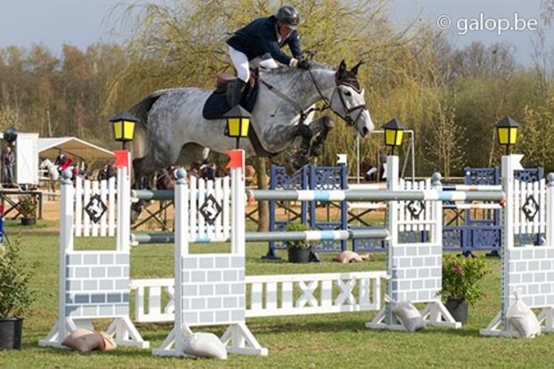 Pro Horse brengt nieuwe paarden naar Schwize