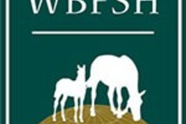 WBFSH eindstand: BWP op twee, sBs op vijf