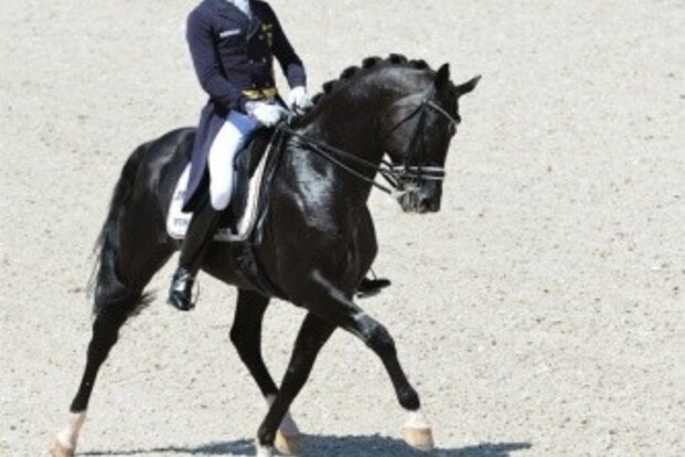 Totilas wint ook GP Special Totilas wint ook GP Special