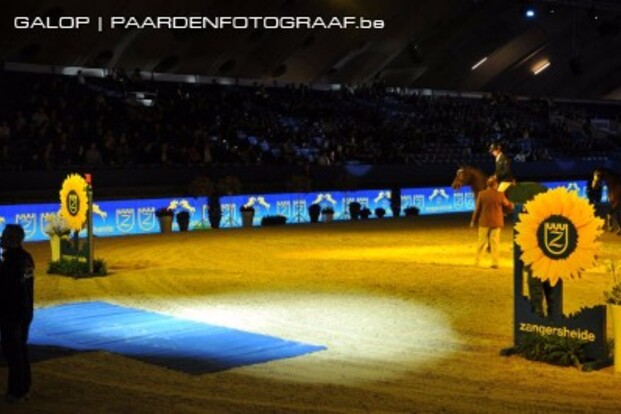 Zangersheide Day op Jumping Mechelen Zangersheide Day op Jumping Mechelen
