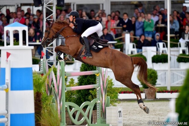 Veiling Optimus - € 38.000 voor embryo