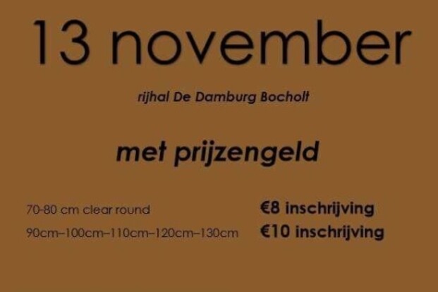 Jumping paarden op 13/11 in de Damburg