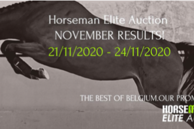 Horseman's online november editie een succes