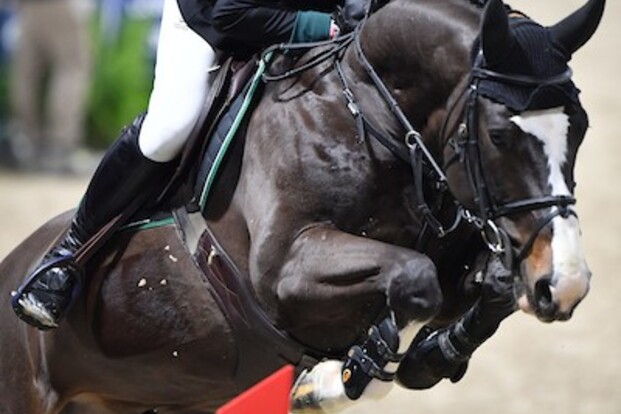 België klimt naar vierde plaats op EK