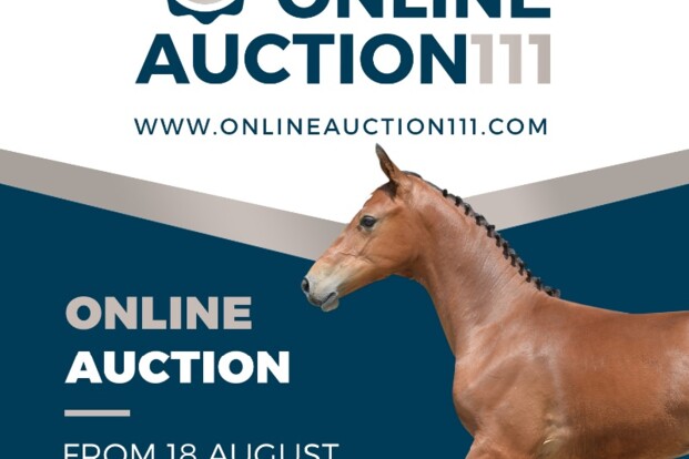 Online auction 111: laatste dag om te bieden