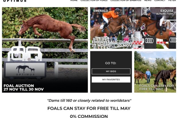 Online auction Optimus gestart