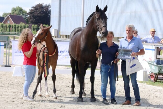 Prachtige veulens halen prijzen binnen op Flanders Foal Championship
