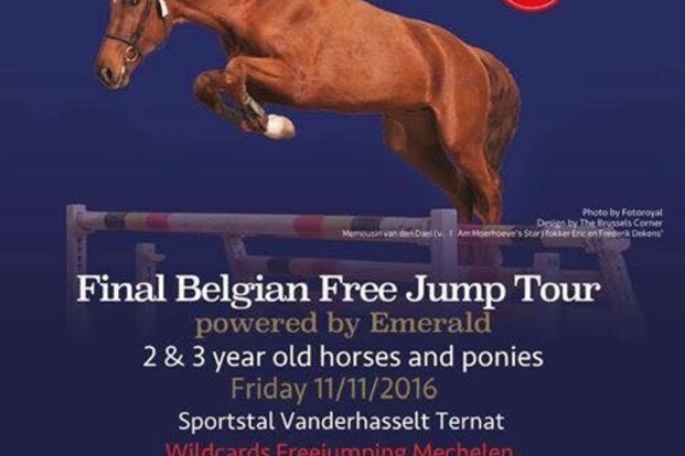 Nationaal Free Jump Contest - laatste dag ..