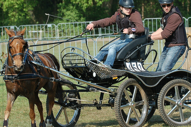 WK-ervaringen van Rhine Hölzken