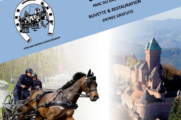 Dossier Sélestat (FRA) – 24-28/04/2024
