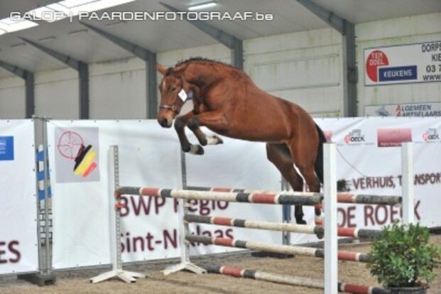 Belgian Youngster Trials: lijsten & timing