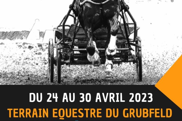 Dossier Sélestat (FRA) - 24/04 - 30/04/2023