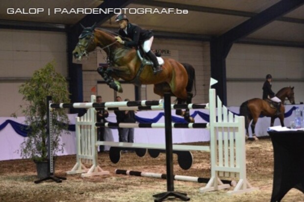 Eldorado vd Zeshoek tweede in Saint-Lô