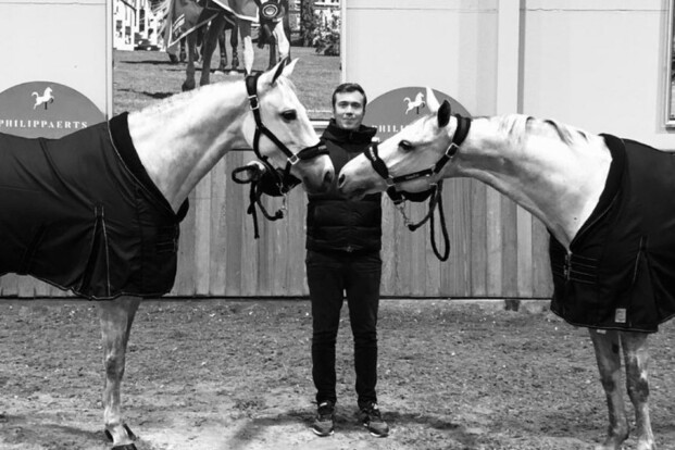 Philippaerts verkoopt 2 paarden naar Amerika Philippaerts verkoopt 2 paarden naar Amerika