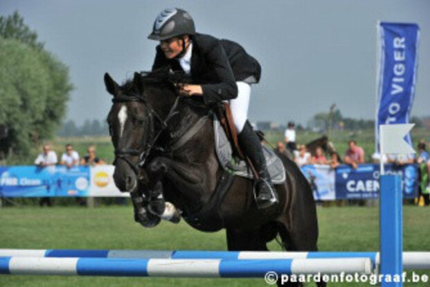 Ponykampioenen LRV Antwerpen en Limburg