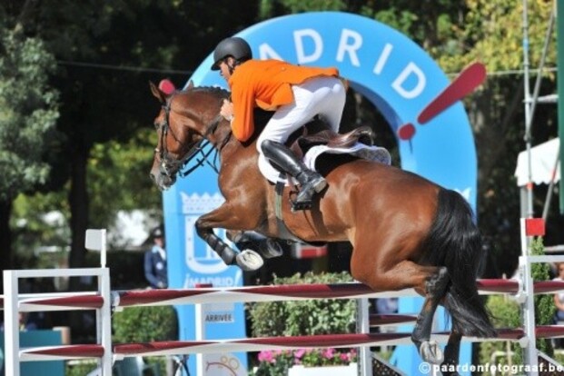 Springpaardenfonds Nederland koopt 2 paarden