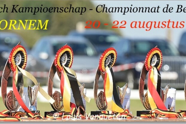 BK Bornem - deelnemers bekend