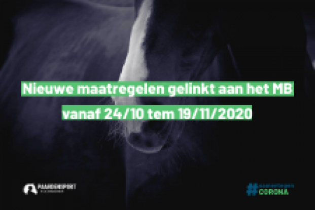 Nieuwe wedstrijdmaatregelen na MB Nieuwe wedstrijdmaatregelen na MB