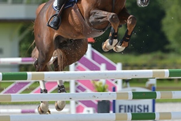 Gregory Wathelet wint GP Mons