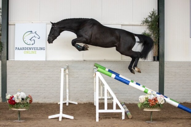 Cascorrado CM DXB is veiligtopper!