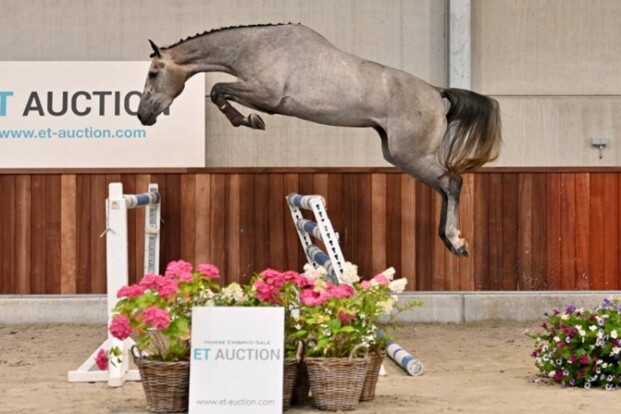 ET-Auction: laatste zomer editie van start!