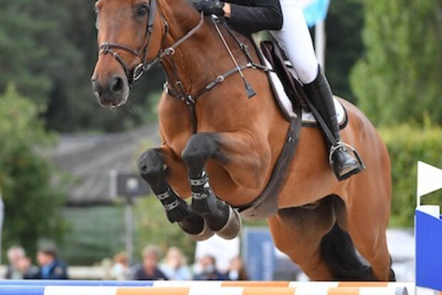 Anthony Philippaerts 4de in hoofdrubriek!