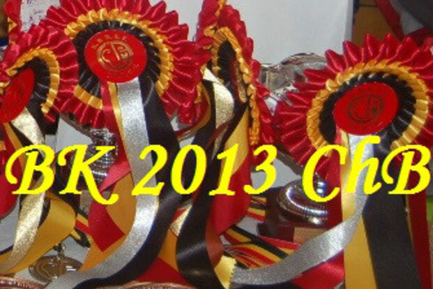 Resultaten Belgisch Kampioenschap 2013