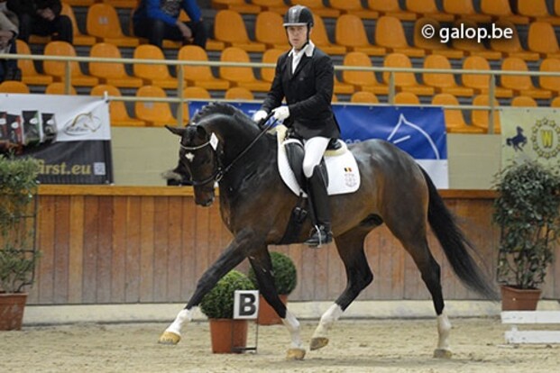 Definitieve selectie WK jonge dressuur... Definitieve selectie WK jonge dressuur...