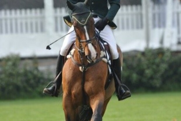 Belgische paarden beste in Derby Hickstead