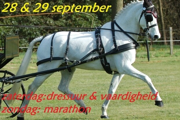 Zandhoven, CAN3-4-junior  -  28-29 september