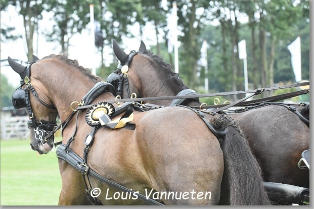 Foto's Valkenswaard H2