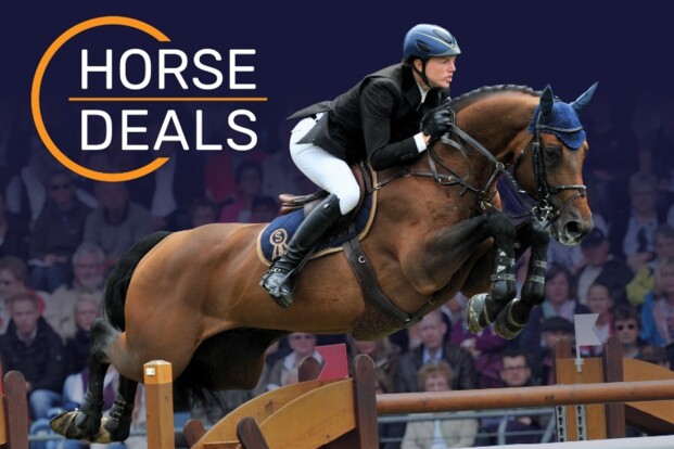 September Deals bevestigen eens temeer