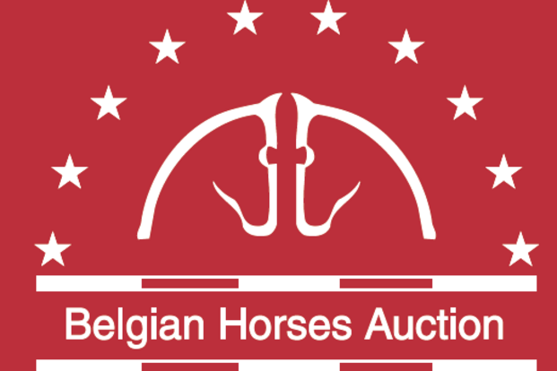 Selectie veulens Belgian Horses Auction op