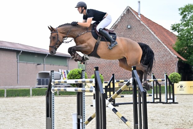 Succesverhaal van veiling Eye of the Breeder