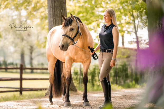 Paulissen Paardensport geeft pop-up event! Paulissen Paardensport geeft pop-up event!