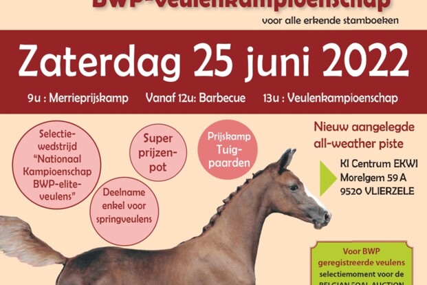 FOKKERIJDAG BWP ZUID-OOST-VLAANDEREN FOKKERIJDAG BWP ZUID-OOST-VLAANDEREN