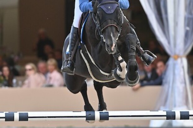 Dominator 2000 Z wint GCT GP Hamburg