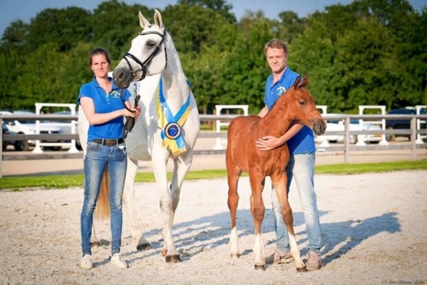 Asca Z en Codex Diaz Z leveren winnaars in Z