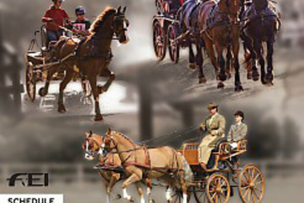 Nederlandse Mediaguide WK Para Mennen 2014 Nederlandse Mediaguide WK Para Mennen 2014