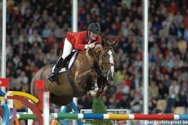 Kampioenenpaard Sapphire is niet meer