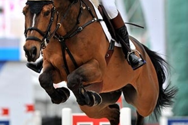 Jos Lansink sterk in Rotterdam