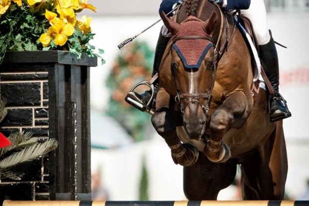 Zusjes Coulter onder vleugels van Euro Horse