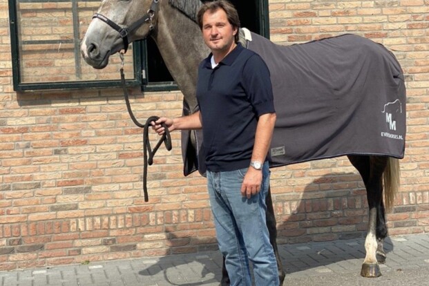 Kazelli VDL veilingtopper Youhorse.auction!