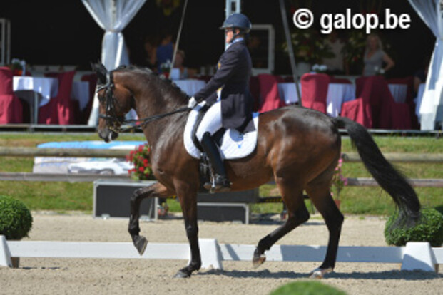 CDI Kapellen, de finales