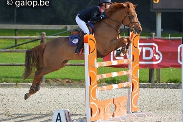 Maartje Verberckmoes wint GP pony & Children Maartje Verberckmoes wint GP pony & Children