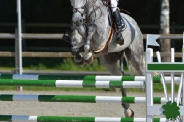 Beevers beste op CEVO-jumping Herselt Beevers beste op CEVO-jumping Herselt